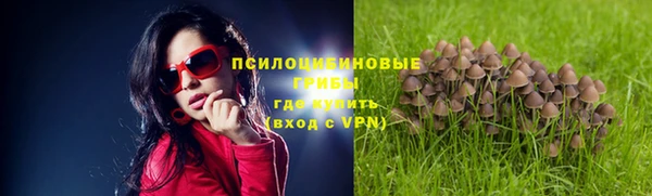 mix Алексеевка