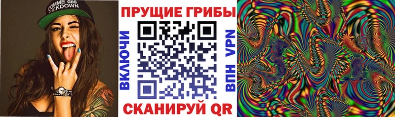 Псилоцибиновые грибы прущие грибы  сколько стоит  Ленинск-Кузнецкий 